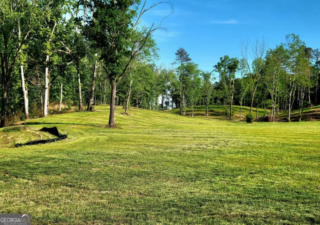 Photo 1 of Land for sale at 80 Mundy Rd, Rydal, GA 30171 | MLS# 10849037 | Listing updated on 2026-10-02