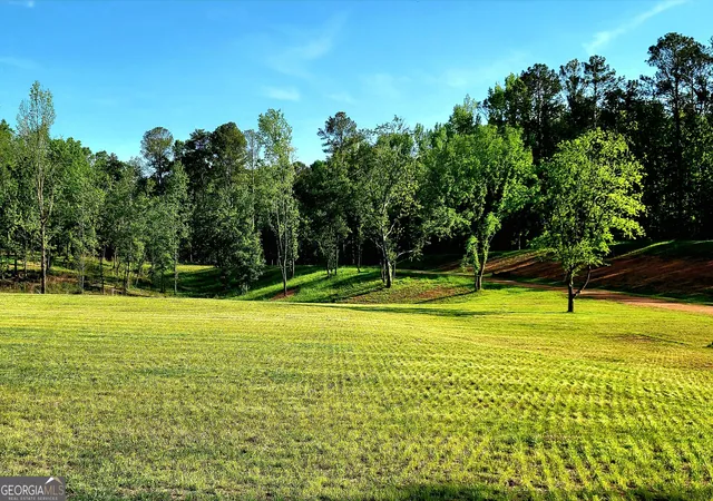 Photo 2 of Land for sale at 80 Mundy Rd, Rydal, GA 30171 | MLS# 10849037 | Listing updated on 2026-10-02