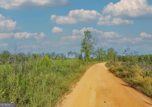 Photo 1 of Land for sale at Tract 7 Carlisle Gap Rd, Woodland, GA 31836 | MLS# 10837464 | Listing updated on 2026-09-30