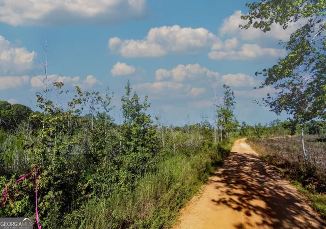 Photo 2 of Land for sale at Tract 7 Carlisle Gap Rd, Woodland, GA 31836 | MLS# 10837464 | Listing updated on 2026-09-30