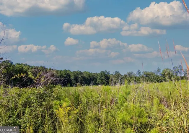 Photo 3 of Land for sale at Tract 7 Carlisle Gap Rd, Woodland, GA 31836 | MLS# 10837464 | Listing updated on 2026-09-30