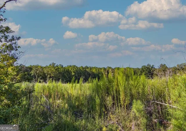 Photo 3 of Land for sale at Tract 7 Carlisle Gap Rd, Woodland, GA 31836 | MLS# 10837464 | Listing updated on 2026-09-30