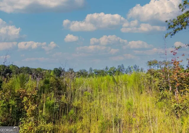 Photo 4 of Land for sale at Tract 7 Carlisle Gap Rd, Woodland, GA 31836 | MLS# 10837464 | Listing updated on 2026-09-30
