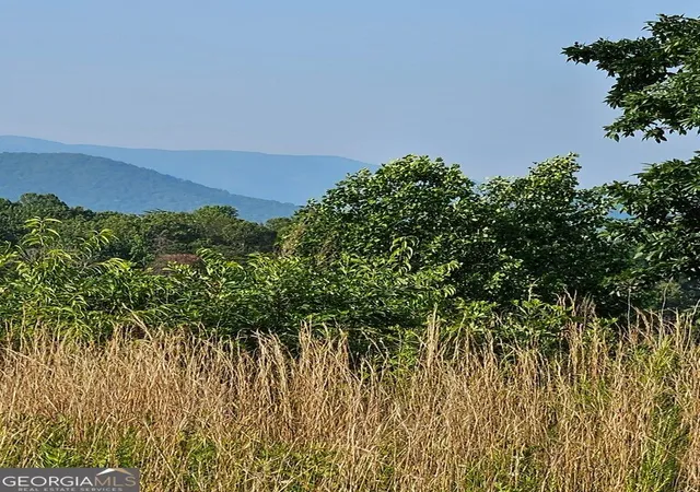Photo 3 of Land for sale at 0 Big Sky Dr, Hiawassee, GA 30546 | MLS# 10842760 | Listing updated on 2026-09-09