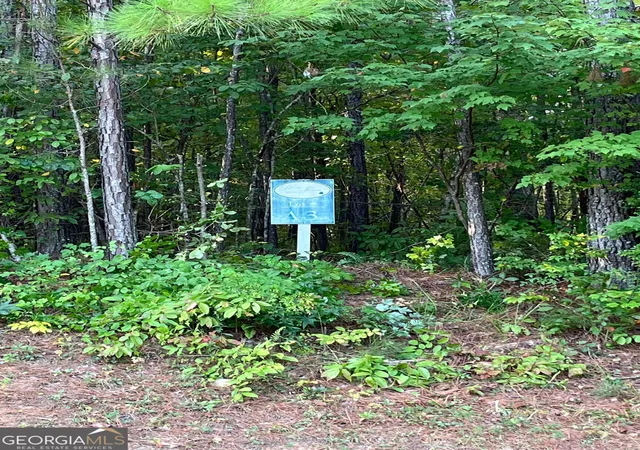 Photo 1 of Land for sale at 205 River Overlook, Forsyth, GA 31029 | MLS# 10852234 | Listing updated on 2026-10-08