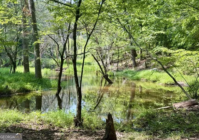 Photo 1 of Land for sale at 0 N Point Peter Rd, Carlton, GA 30627 | MLS# 10847086 | Listing updated on 2026-09-30