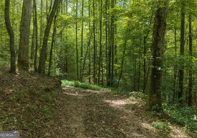 Photo 1 of Land for sale at 300 Sumac Ln #53, Ellijay, GA 30540 | MLS# 10839988 | Listing updated on 2026-10-29