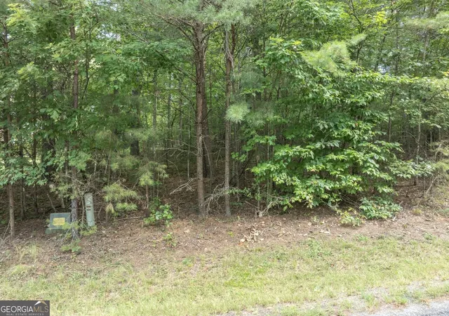 Photo 7 of Land for sale at Lot 26 Young Harris, Young Harris, GA 30582 | MLS# 10842729 | Listing updated on 2026-09-11