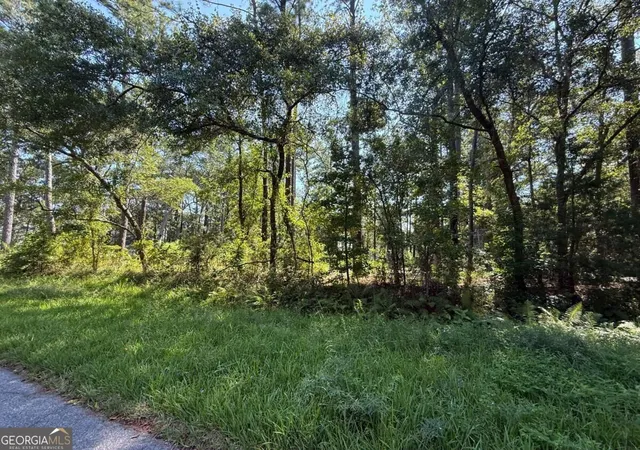 Photo 1 of Land for sale at 129 Sutherland Dr, Brunswick, GA 31525 | MLS# 10848837 | Listing updated on 2026-10-02