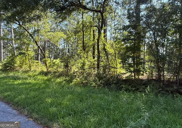 Photo 2 of Land for sale at 129 Sutherland Dr, Brunswick, GA 31525 | MLS# 10848837 | Listing updated on 2026-10-02