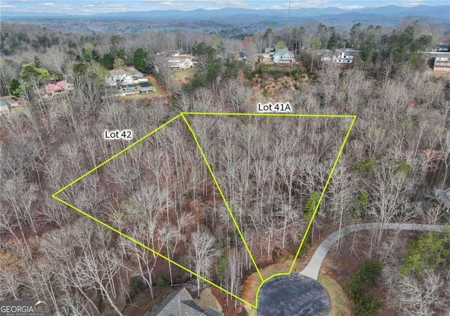 Photo 3 of Land for sale at 41a&42 Madeline Anthony Rd, Dahlonega, GA 30533 | MLS# 10846428 | Listing updated on 2026-09-30