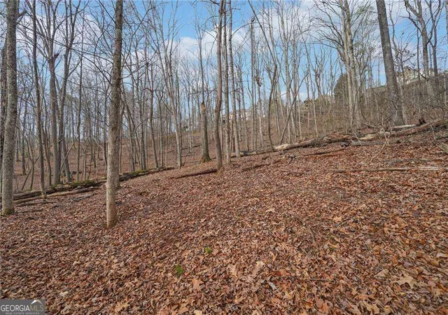 Photo 4 of Land for sale at 41a&42 Madeline Anthony Rd, Dahlonega, GA 30533 | MLS# 10846428 | Listing updated on 2026-09-30