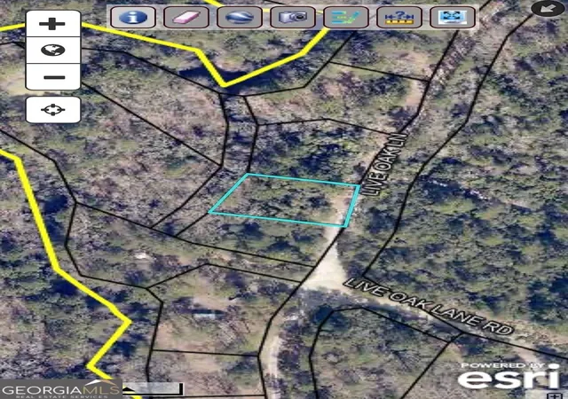Photo 3 of Land for sale at 0 Live Oak Ln Rd, Pembroke, GA 31321 | MLS# 10846396 | Listing updated on 2026-09-30