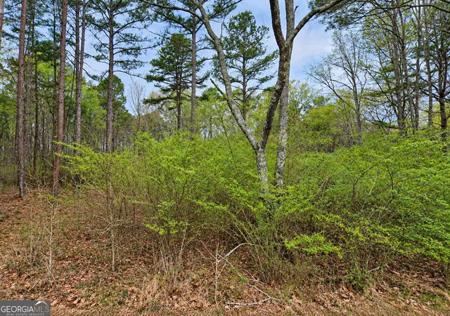 Photo 3 of Land for sale at 053 Acres Maddox Lake Rd, Summerville, GA 30747 | MLS# 10848584 | Listing updated on 2026-10-13
