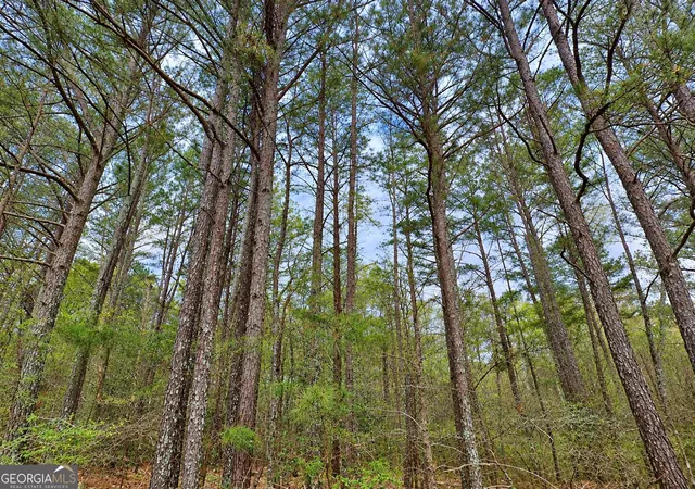 Photo 3 of Land for sale at 053 Acres Maddox Lake Rd, Summerville, GA 30747 | MLS# 10848584 | Listing updated on 2026-10-23