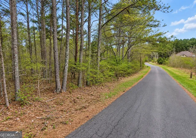 Photo 4 of Land for sale at 053 Acres Maddox Lake Rd, Summerville, GA 30747 | MLS# 10848584 | Listing updated on 2026-10-23