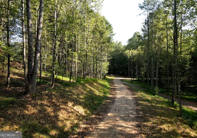 Photo 1 of Land for sale at 172 Boyd Holw Dr, Blairsville, GA 30512 | MLS# 10850954 | Listing updated on 2026-10-06