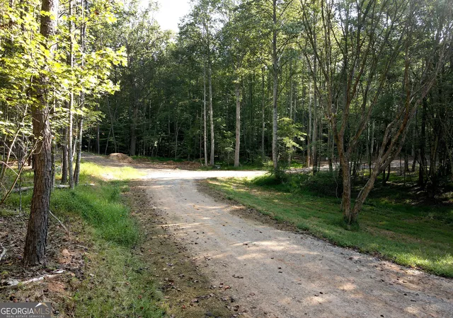 Photo 3 of Land for sale at 172 Boyd Holw Dr, Blairsville, GA 30512 | MLS# 10850954 | Listing updated on 2026-10-06