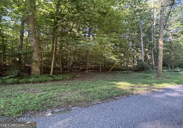 Land for sale at 0 Chateau Dr #A-105, Lavonia, GA 30553 | MLS# 10839445