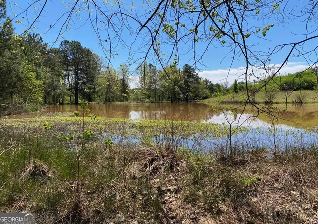 Photo 2 of Land for sale at 28 Acres Hwy 36e, Thomaston, GA 30286 | MLS# 10849169 | Listing updated on 2026-10-02