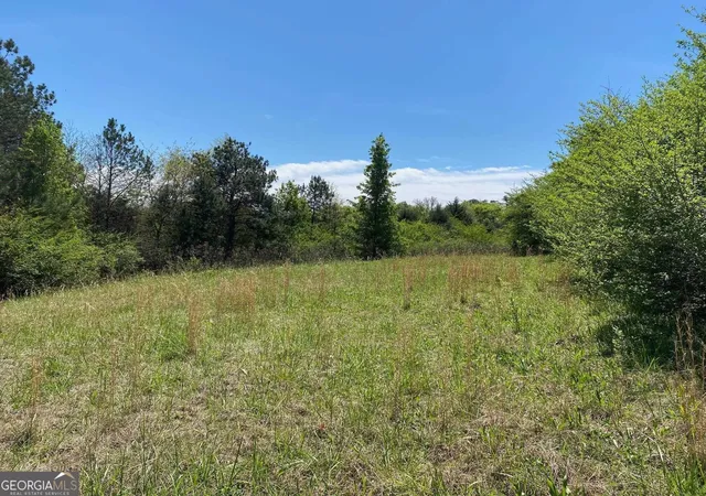 Photo 4 of Land for sale at 28 Acres Hwy 36e, Thomaston, GA 30286 | MLS# 10849169 | Listing updated on 2026-10-02