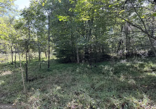 Photo 3 of Sale Pending at 573 Sunnyside Rd, Hiawassee, GA 30546 | MLS# 10851389 | Listing updated on 2026-10-06