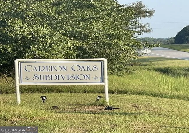 Photo 1 of Land for sale at 6423 Carlton Oaks Rd, Garfield, GA 30425 | MLS# 10846912 | Listing updated on 2026-10-15