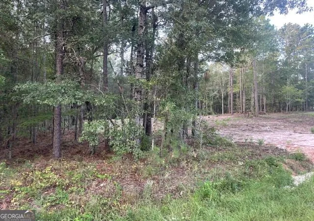 Photo 3 of Land for sale at 6423 Carlton Oaks Rd, Garfield, GA 30425 | MLS# 10846912 | Listing updated on 2026-10-15
