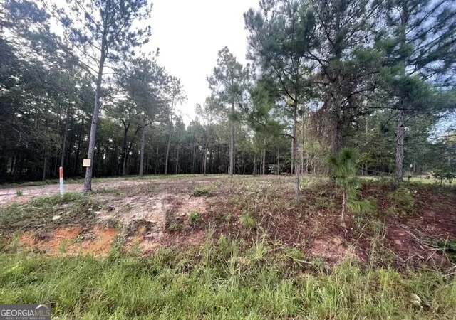 Photo 3 of Land for sale at 6423 Carlton Oaks Rd, Garfield, GA 30425 | MLS# 10846912 | Listing updated on 2026-10-15
