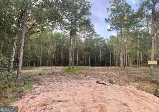 Photo 4 of Land for sale at 6423 Carlton Oaks Rd, Garfield, GA 30425 | MLS# 10846912 | Listing updated on 2026-10-15