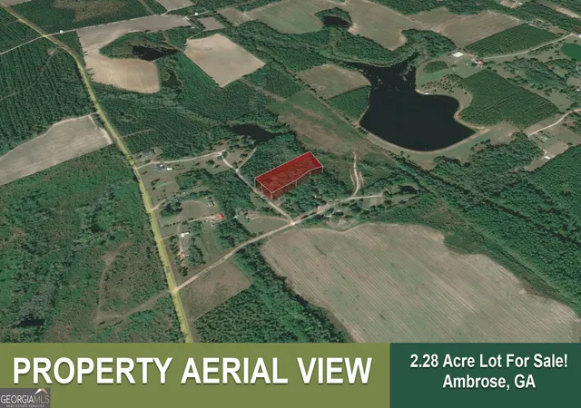 Photo 2 of Land for sale at 199 Eastman Paulk Rd, Ambrose, GA 31512 | MLS# 10821845 | Listing updated on 2026-09-13