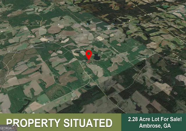 Photo 3 of Land for sale at 199 Eastman Paulk Rd, Ambrose, GA 31512 | MLS# 10821845 | Listing updated on 2026-09-13