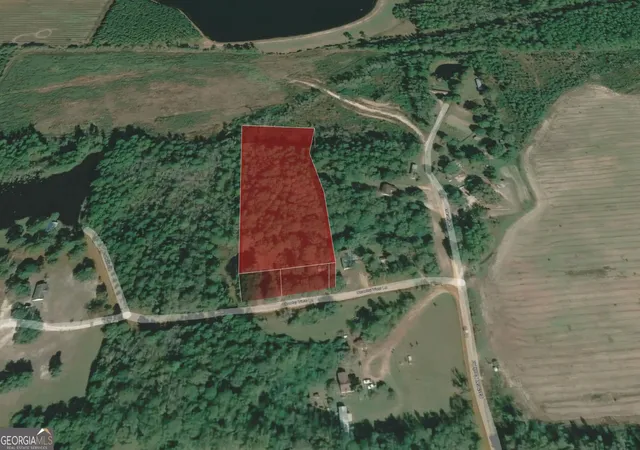 Photo 3 of Land for sale at 199 Eastman Paulk Rd, Ambrose, GA 31512 | MLS# 10821845 | Listing updated on 2026-09-13