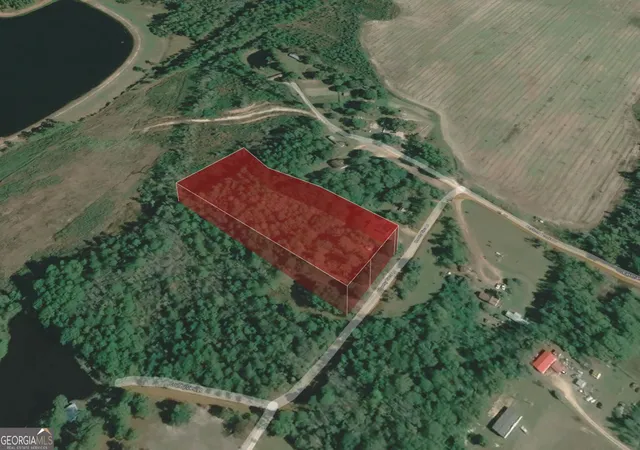 Photo 4 of Land for sale at 199 Eastman Paulk Rd, Ambrose, GA 31512 | MLS# 10821845 | Listing updated on 2026-09-13