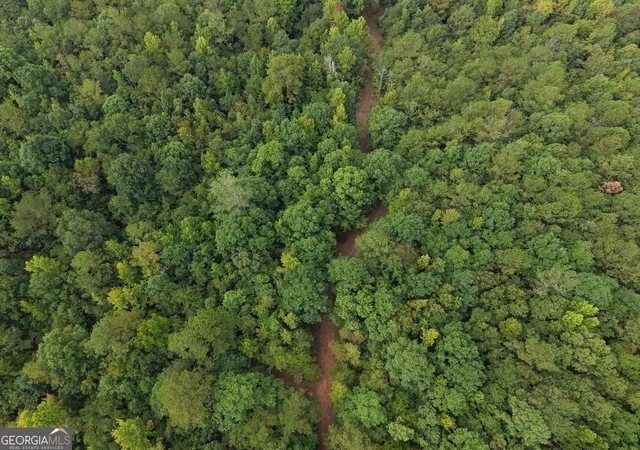 Photo 4 of Land for sale at 2643 Deepstep Crk Rd, Sandersville, GA 31082 | MLS# 10840915 | Listing updated on 2026-09-19