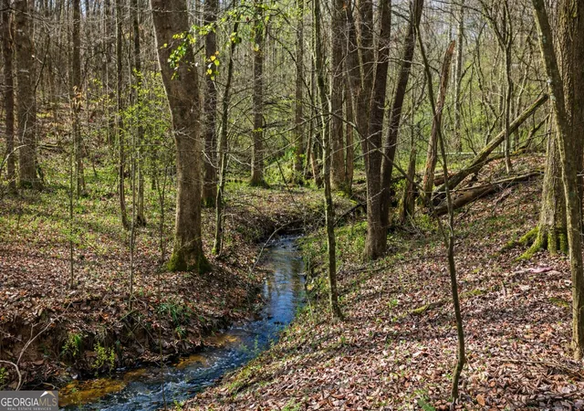 Photo 1 of Land for sale at 2300 Stonepile Rd, Clarkesville, GA 30523 | MLS# 10837315 | Listing updated on 2026-09-15