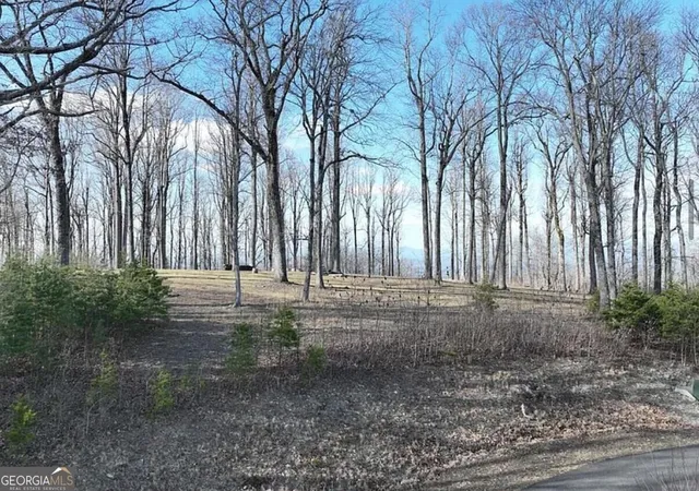 Photo 3 of Land for sale at 0 Andes Ridge, Jasper, GA 30143 | MLS# 10879781 | Listing updated on 2026-10-30