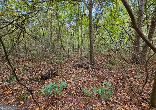 Photo 10 of Land for sale at 24 Acres Flamingo Est, Hawkinsville, GA 31036 | MLS# 10841319 | Listing updated on 2026-09-10