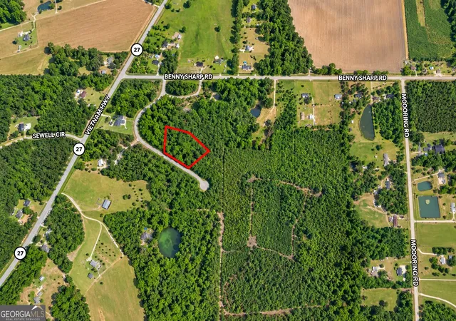 Photo 3 of Land for sale at 24 Acres Flamingo Est, Hawkinsville, GA 31036 | MLS# 10841319 | Listing updated on 2026-09-21