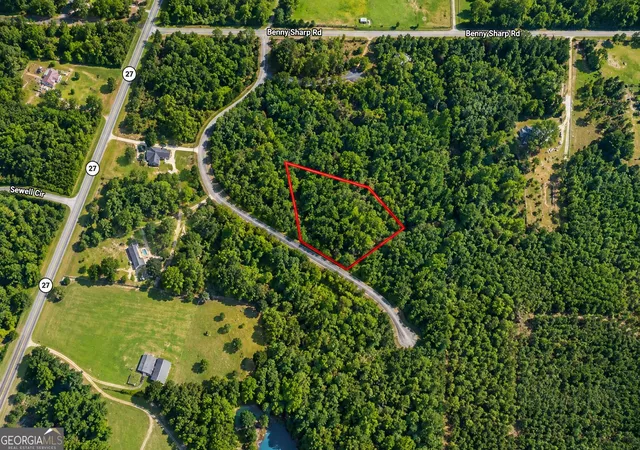 Photo 3 of Land for sale at 24 Acres Flamingo Est, Hawkinsville, GA 31036 | MLS# 10841319 | Listing updated on 2026-10-20