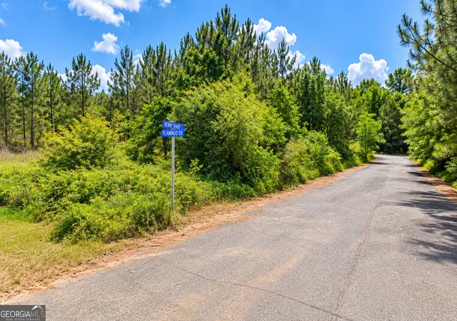 Photo 4 of Land for sale at 24 Acres Flamingo Est, Hawkinsville, GA 31036 | MLS# 10841319 | Listing updated on 2026-10-20