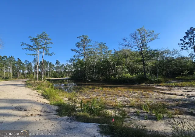 Photo 2 of Sale Pending at 0 Ml Branch Clb Rd Lot 1p #LOT 1P, Pembroke, GA 31321 | MLS# 10848468 | Listing updated on 2026-10-13