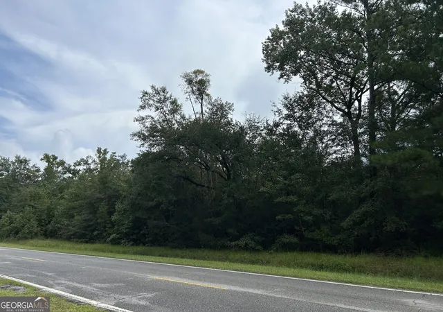 Photo 1 of Sale Pending at 0 Barrington Fry Rd, Riceboro, GA 31323 | MLS# 10850329 | Listing updated on 2026-09-30