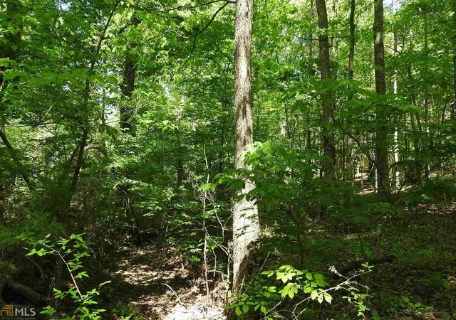 Photo 4 of Land for sale at 0 Ccc Rd, Cartersville, GA 30120 | MLS# 10841446 | Listing updated on 2026-09-07