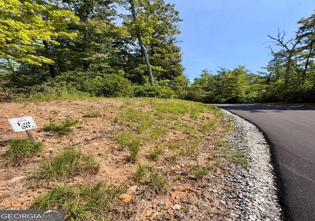 Photo 2 of Land for sale at Lot 20 Turquoise Ridge, Blue Ridge, GA 30513 | MLS# 10848526 | Listing updated on 2026-09-18