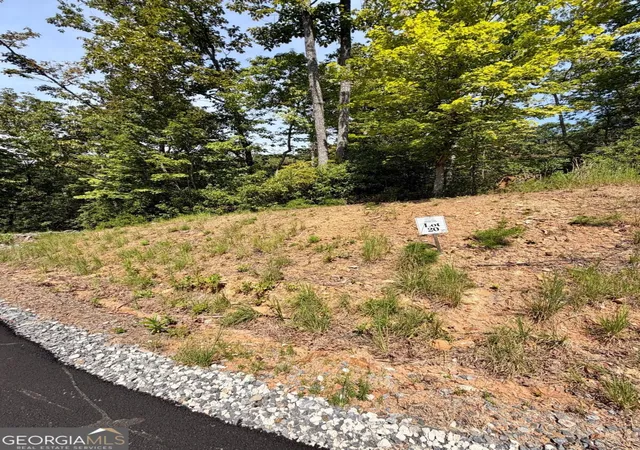Photo 3 of Land for sale at Lot 20 Turquoise Ridge, Blue Ridge, GA 30513 | MLS# 10848526 | Listing updated on 2026-09-18