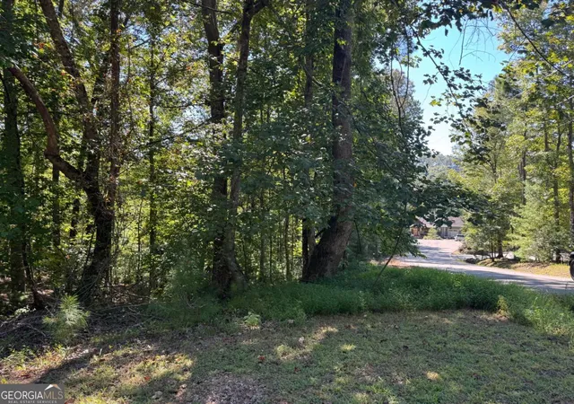 Photo 1 of Land for sale at 25 Ac Mango Ln #732+ 733, Ellijay, GA 30540 | MLS# 10872864 | Listing updated on 2026-10-28