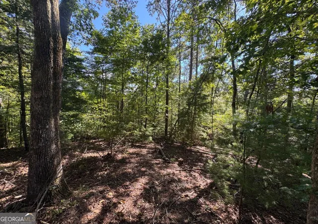 Photo 2 of Land for sale at 25 Ac Mango Ln #732+ 733, Ellijay, GA 30540 | MLS# 10872864 | Listing updated on 2026-10-28