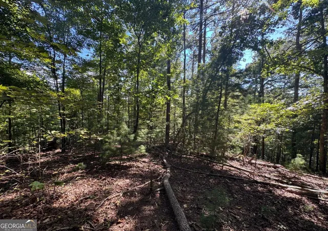 Photo 3 of Land for sale at 25 Ac Mango Ln #732+ 733, Ellijay, GA 30540 | MLS# 10872864 | Listing updated on 2026-10-28