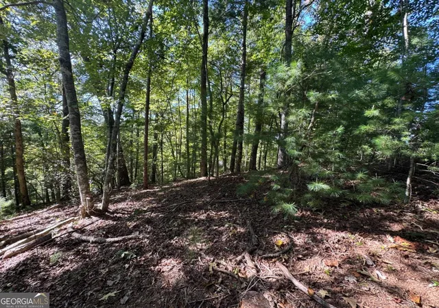 Photo 4 of Land for sale at 25 Ac Mango Ln #732+ 733, Ellijay, GA 30540 | MLS# 10872864 | Listing updated on 2026-10-28